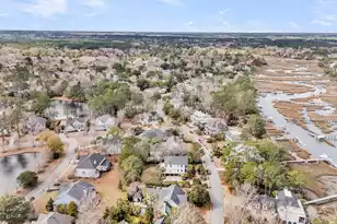 3593 Henrietta Hartford Rd, Mount Pleasant, SC 29466 - Photo 110