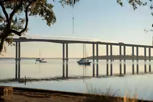 332 Ginned Cotton St, Daniel Island, SC 29492 - Photo 44