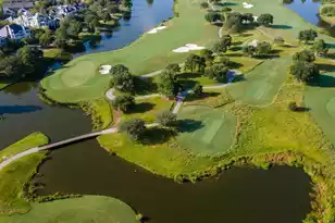 332 Ginned Cotton St, Daniel Island, SC 29492 - Photo 46