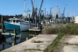 1792 Breezy Bay Wy, McClellanville, SC 29458 - Photo 44