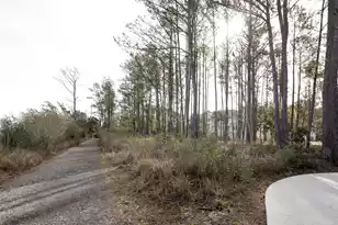 1709 Vireo Ct, Johns Island, SC 29455 - Photo 24