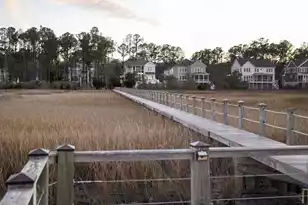 1709 Vireo Ct, Johns Island, SC 29455 - Photo 22