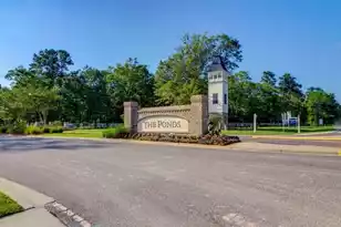 119 Cherry Grv Dr, Summerville, SC 29483 - Photo 42