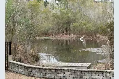 1506 Lucas Isle Court, Hanahan, SC 29410 - Photo 50