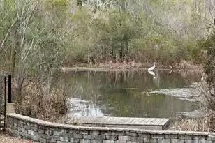 1506 Lucas Isle Ct, Hanahan, SC 29410 - Photo 50