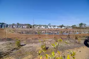 1799 Towne St, Johns Island, SC 29455 - Photo 36