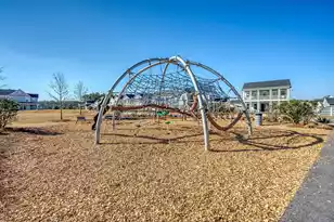 305 Sherrod Pk Ln, Summerville, SC 29486 - Photo 52