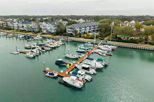 53 Morgan's Cove Dr, Isle Of Palms, SC 29451 - Photo 76