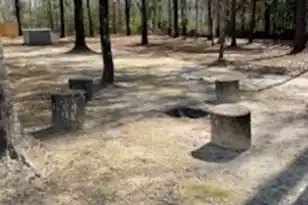 5976 Pleasant Grove Rd, Walterboro, SC 29488 - Photo 26