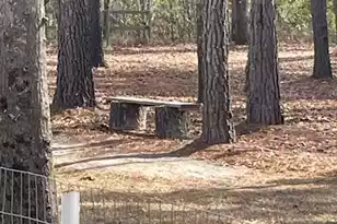 5976 Pleasant Grove Rd, Walterboro, SC 29488 - Photo 28