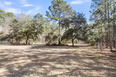 6911 Buckhorn Road, Ravenel, SC 29470 - Photo 72