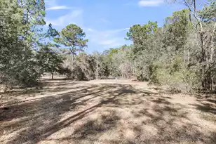 6911 Buckhorn Rd, Ravenel, SC 29470 - Photo 74