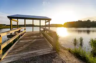 155 Callibluff Dr, Summerville, SC 29486 - Photo 56