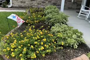 129 Ancestry Ln, Moncks Corner, SC 29461 - Photo 8