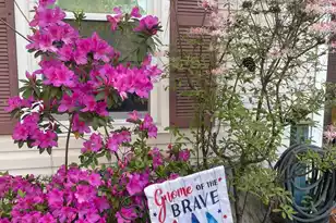 3348 Island Estates Dr, Johns Island, SC 29455 - Photo 32