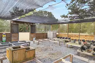 5307 Edisto River Rd, Branchville, SC 29432 - Photo 30