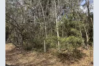 0 Robertson Boulevard, Walterboro, SC 29488 - Photo 1