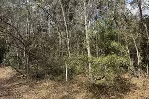 0 Robertson Blvd, Walterboro, SC 29488 - Photo 1