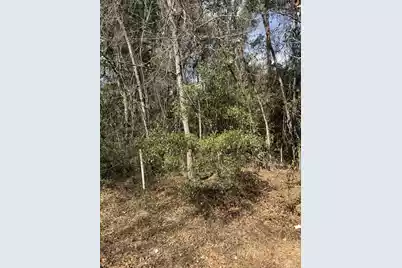 0 Robertson Boulevard, Walterboro, SC 29488 - Photo 2