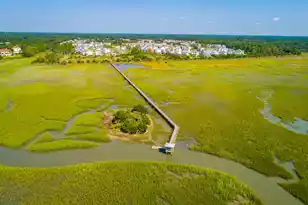 1478 Fort Palmetto Cir, Mount Pleasant, SC 29466 - Photo 56