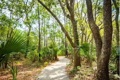 1478 Fort Palmetto Circle, Mount Pleasant, SC 29466 - Photo 54