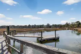 3335 Cottonfield Dr, Mount Pleasant, SC 29466 - Photo 32