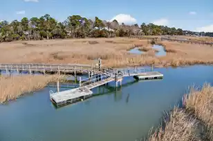 3335 Cottonfield Dr, Mount Pleasant, SC 29466 - Photo 66