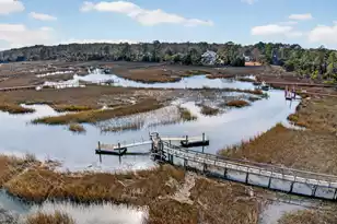 3335 Cottonfield Dr, Mount Pleasant, SC 29466 - Photo 36
