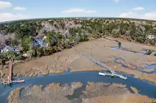 3335 Cottonfield Dr, Mount Pleasant, SC 29466 - Photo 64