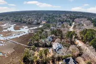 3335 Cottonfield Dr, Mount Pleasant, SC 29466 - Photo 62