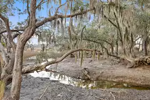 1242 Brackish Ct, Beaufort, SC 29902 - Photo 46