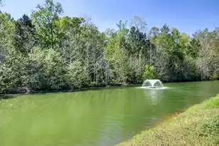 3630 Pimmit Pl, Ladson, SC 29456 - Photo 36