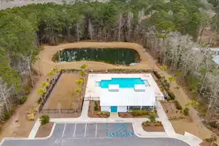 87 Red Blf St, Summerville, SC 29483 - Photo 40