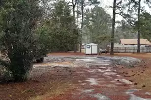 309 Pine Needle Rd, Walterboro, SC 29488 - Photo 1