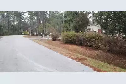 309 Pine Needle Road, Walterboro, SC 29488 - Photo 2