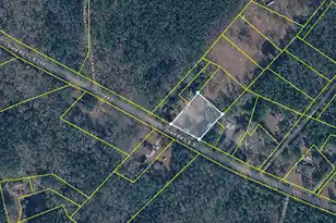 Lot 1 Hendorrich Trail, Huger, SC 29450 - Photo 1