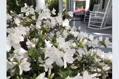 214 Doty Avenue E, Summerville, SC 29483 - Photo 4