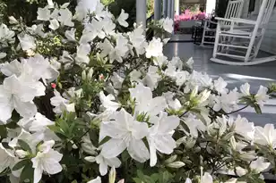 214 Doty Ave E, Summerville, SC 29483 - Photo 4