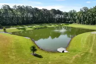 313 Bluebell Wy, Moncks Corner, SC 29461 - Photo 36