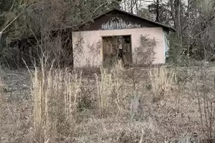 0 Hampton St, Branchville, SC 29432 - Photo 1