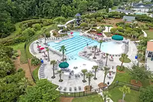 4409 Downing Pl Way, Mount Pleasant, SC 29466 - Photo 66