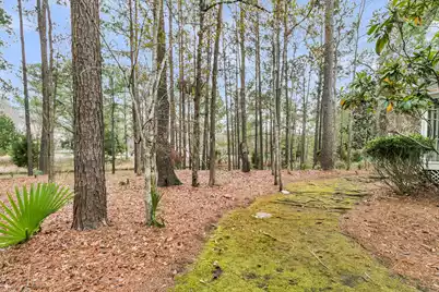 4409 Downing Place Way, Mount Pleasant, SC 29466 - Photo 42