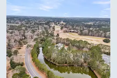 4409 Downing Place Way, Mount Pleasant, SC 29466 - Photo 54