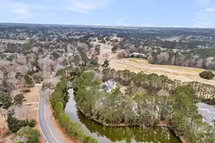 4409 Downing Pl Way, Mount Pleasant, SC 29466 - Photo 54