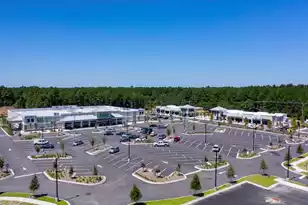 525 Spiral Ramp Ct, Charleston, SC 29492 - Photo 18