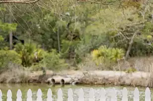 110 Revolution Dr, Mount Pleasant, SC 29464 - Photo 24