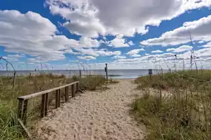 306 Sea Vw Ln, Edisto Beach, SC 29438 - Photo 82