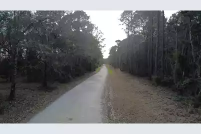 0 Two Pines Road, McClellanville, SC 29458 - Photo 6