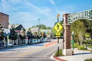 331 Dickerson Ln, Summerville, SC 29485 - Photo 8