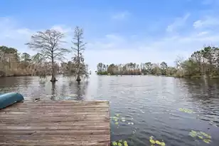 107 Jack's Ln, Bonneau, SC 29431 - Photo 18